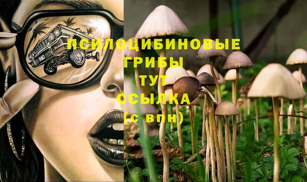 мескалин Богородск