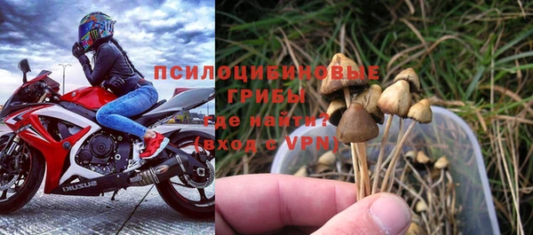 мескалин Богородск