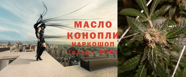 гидра Михайловск